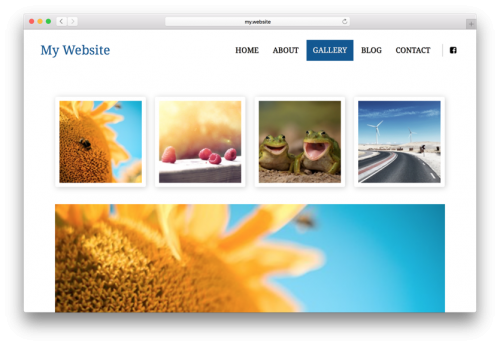 Photo Gallery