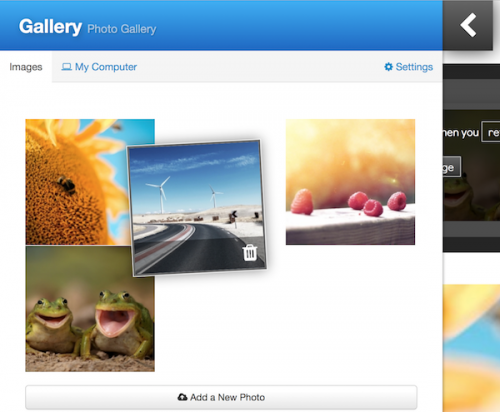 Photo Gallery