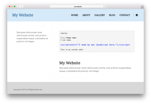 Custom Code (HTML, CSS, JavaScript)