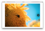 Photo Gallery