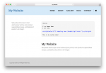 Custom Code (HTML, CSS, JavaScript)