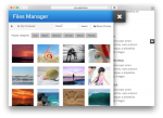 Files Manager