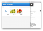 Files Manager